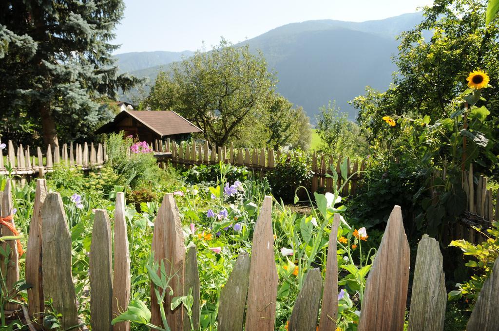 Chalet & Appartement Zingerlehof Trens Campo di Trens Ngoại thất bức ảnh