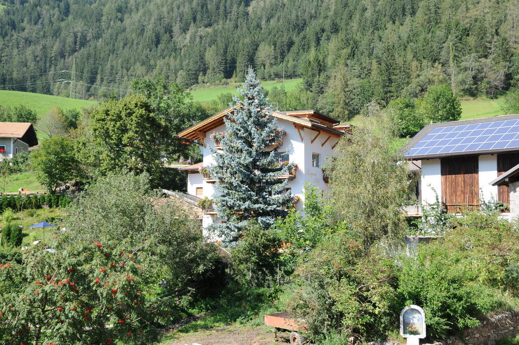 Chalet & Appartement Zingerlehof Trens Campo di Trens Ngoại thất bức ảnh